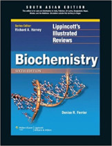 Lippincott S Illustrated Reviewbiochemistry