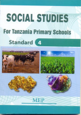 Social Studies Standard 4 -MEP