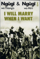 I Will Marry When I Want