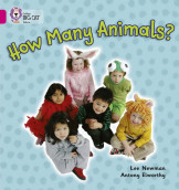 How Many Animals