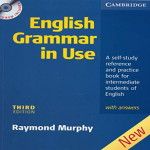 English Grammer In Use