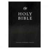 Holly Bible