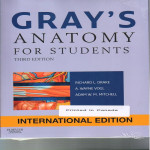 Gray Anatomy For Students 3Ed