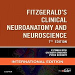 Fitzgerald's Clinical Neuroanatomy and Neuroscience 7th Edition