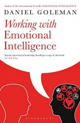 Working With Emotional Intell Bpbk
