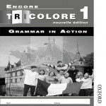 Encore Tricolore Nouvelle 1 Grammar in Action Workbook Pack (x8)