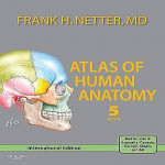 Atlas of Human Anatomy