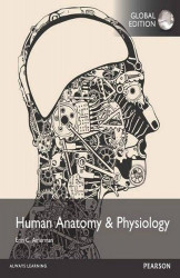 Human Anatomy And Physiology
