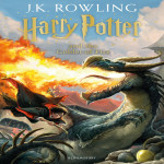 Harry Potter and the Goblet of Fire -Adult Pb