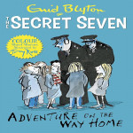 Secret Seven Colour Short Stories: Adventure on the Way Home