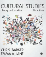 Cultural Studies Theory And Practice 5th Edition