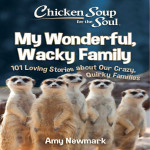 Chicken Soup for the Soul: My Wonderful  Wacky Family