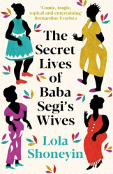 The Secret Lives Of Baba Segi'S Wives