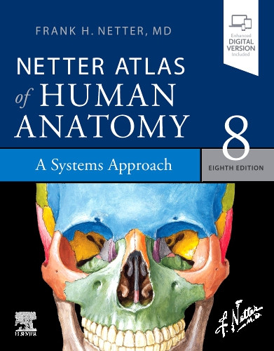 Human Anatomy