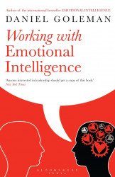 Working with Emotional Intell Bpbk