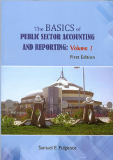 The Basics Of Public Sector Accounting And Reporting: Vol 1 First Edition