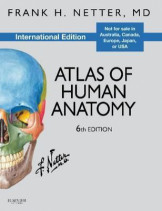 Atlas of Human Anatomy, International Edition