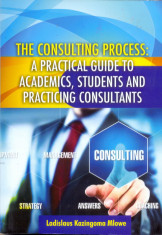 The Consulting Process : A Practical Guide To Academics, Students & Practicing Consultants